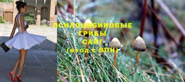 Альфа ПВП Теберда