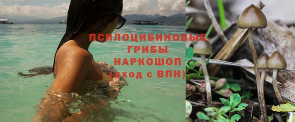 прущая мука Майский