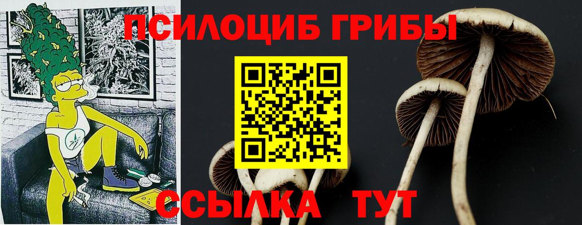 Галлюциногенные грибы мицелий  даркнет сайт  Саратов  Вход с VPN 